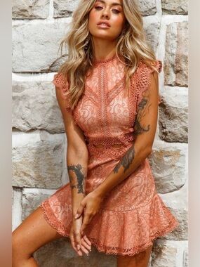 NWT Cheeky Chic Sage + Paije Worth the Chase Rose Dress Sz US/L AU/12 Summer